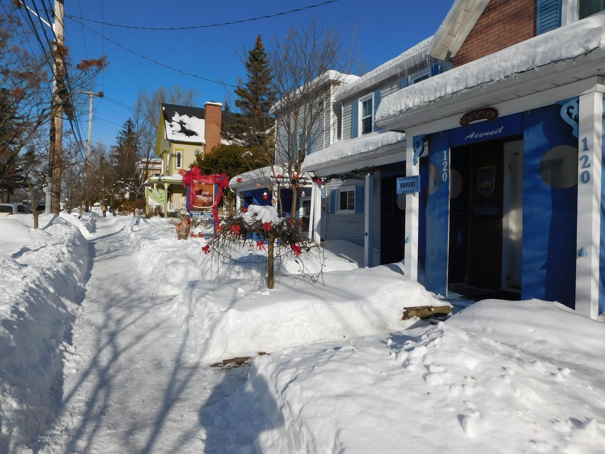 Au Coeur De Magog Bed & Breakfast Екстериор снимка
